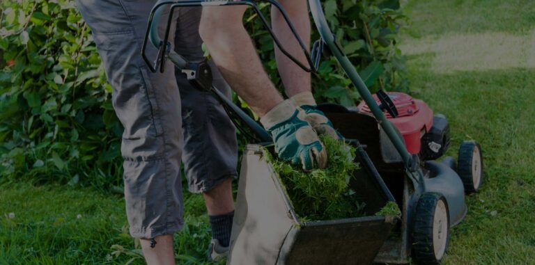 🌿 Jasa Perawatan Taman Profesional