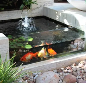 Desain-Kolam-Koi-Kaca-Minimalis-untuk-Rumah-Mungil