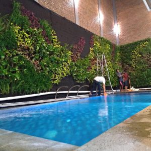 WhatsApp-Image-2023-07-25-at-11.22.19-1 (1)